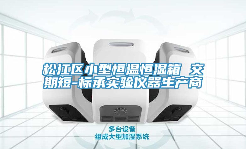松江區(qū)小型恒溫恒濕箱 交期短-標承實驗儀器生產(chǎn)商