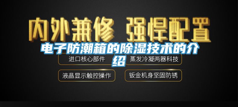 電子防潮箱的除濕技術(shù)的介紹