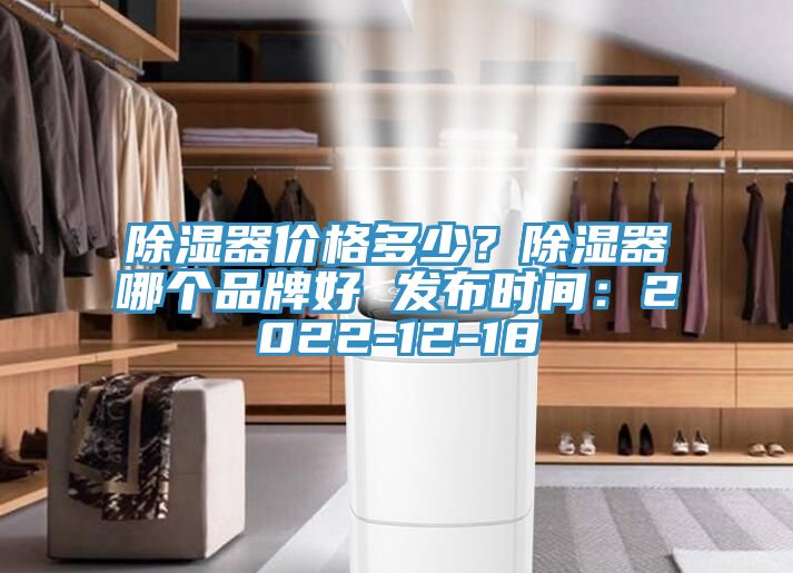 除濕器價(jià)格多少？除濕器哪個(gè)品牌好 發(fā)布時(shí)間：2022-12-18