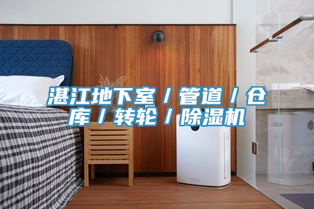 湛江地下室／管道／倉庫／轉(zhuǎn)輪／除濕機