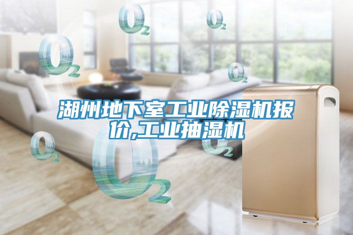 湖州地下室工業(yè)除濕機報價,工業(yè)抽濕機