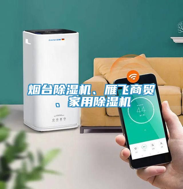 煙臺除濕機、雁飛商貿(mào)、家用除濕機