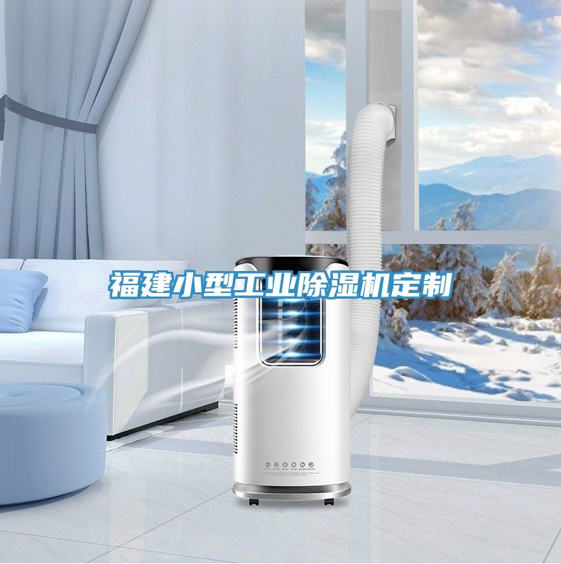 福建小型工業(yè)除濕機(jī)定制