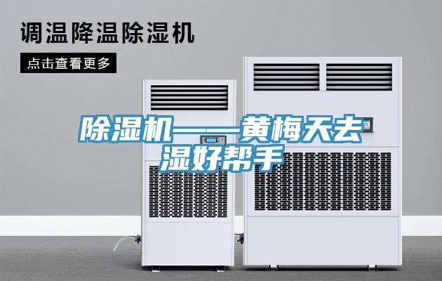 除濕機(jī)——黃梅天去濕好幫手