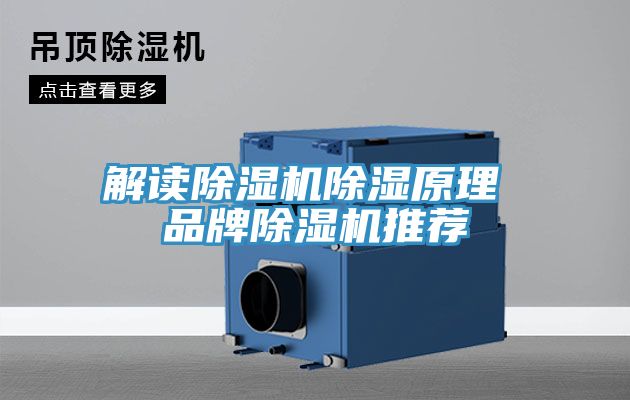 解讀除濕機(jī)除濕原理 品牌除濕機(jī)推薦