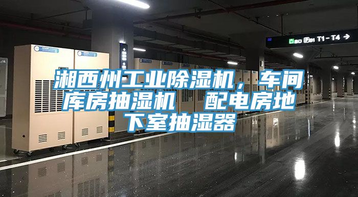 湘西州工業(yè)除濕機，車間庫房抽濕機  配電房地下室抽濕器
