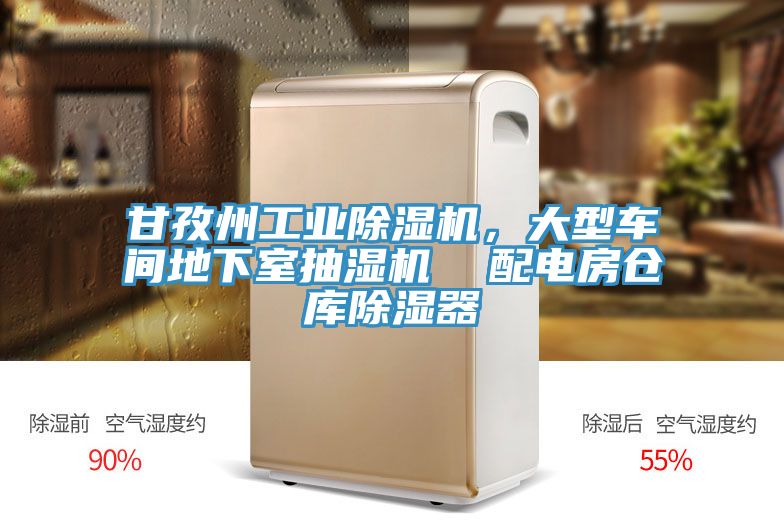 甘孜州工業(yè)除濕機，大型車間地下室抽濕機  配電房倉庫除濕器