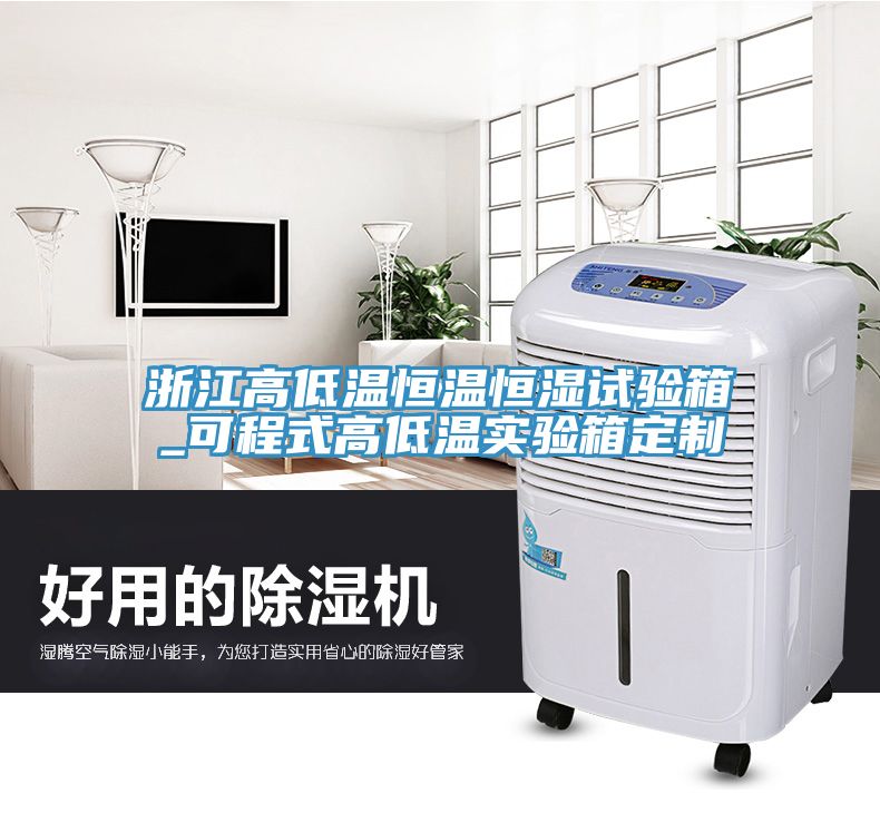 浙江高低溫恒溫恒濕試驗(yàn)箱_可程式高低溫實(shí)驗(yàn)箱定制