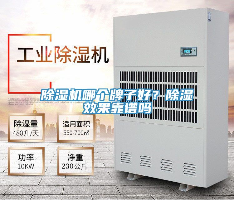除濕機哪個牌子好？除濕效果靠譜嗎
