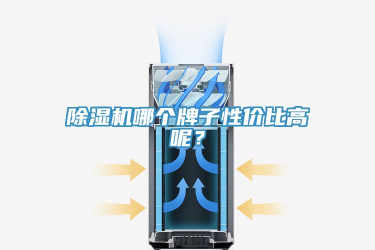 除濕機哪個牌子性價比高呢？