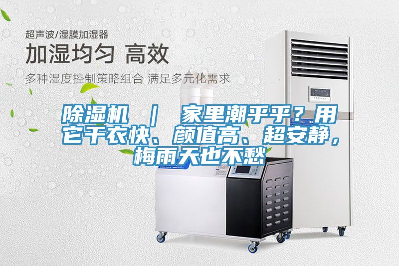 除濕機 ｜ 家里潮乎乎？用它干衣快、顏值高、超安靜，梅雨天也不愁