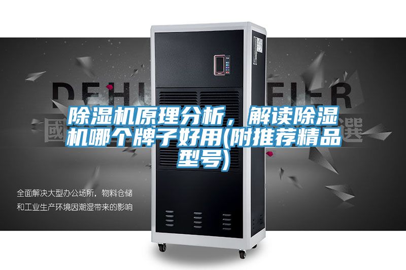 除濕機(jī)原理分析，解讀除濕機(jī)哪個(gè)牌子好用(附推薦精品型號(hào))