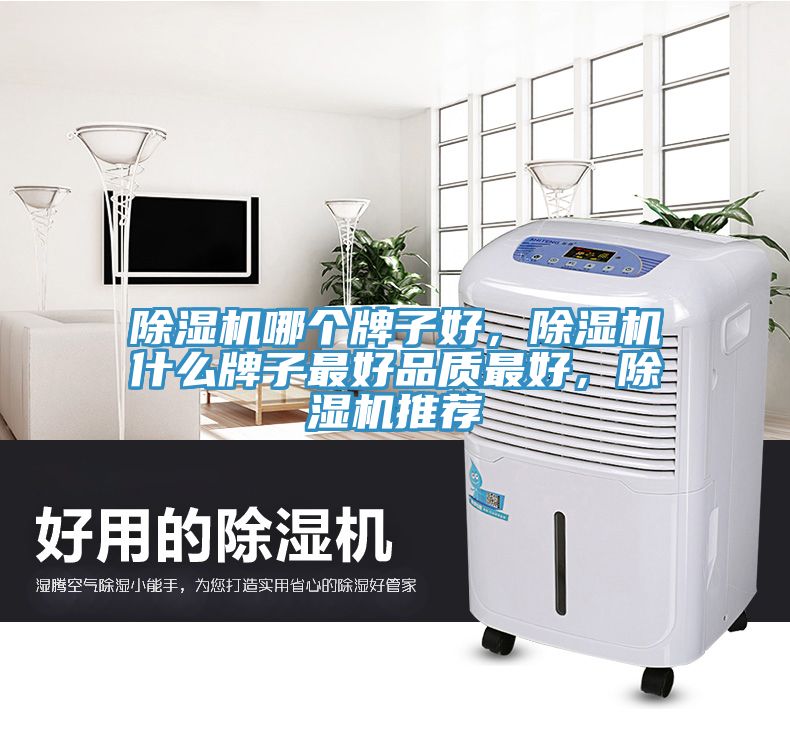 除濕機(jī)哪個(gè)牌子好，除濕機(jī)什么牌子最好品質(zhì)最好，除濕機(jī)推薦
