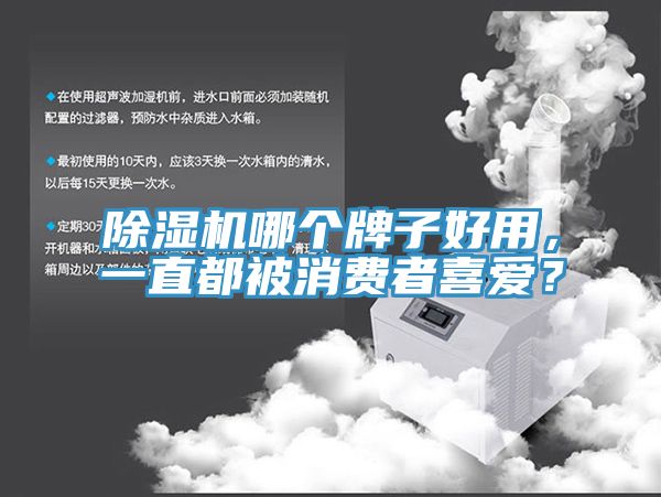 除濕機(jī)哪個(gè)牌子好用，一直都被消費(fèi)者喜愛？