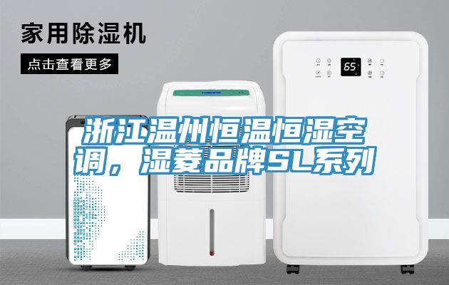 浙江溫州恒溫恒濕空調(diào)，濕菱品牌SL系列