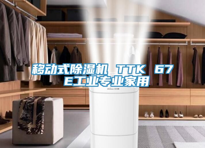 移動式除濕機(jī) TTK 67 E工業(yè)專業(yè)家用