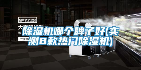 除濕機(jī)哪個(gè)牌子好(實(shí)測8款熱門除濕機(jī))