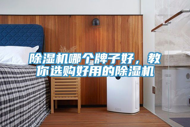 除濕機(jī)哪個(gè)牌子好，教你選購(gòu)好用的除濕機(jī)