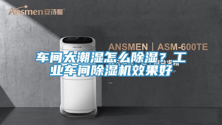 車間太潮濕怎么除濕？工業(yè)車間除濕機效果好