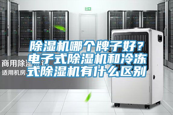 除濕機哪個牌子好？電子式除濕機和冷凍式除濕機有什么區(qū)別