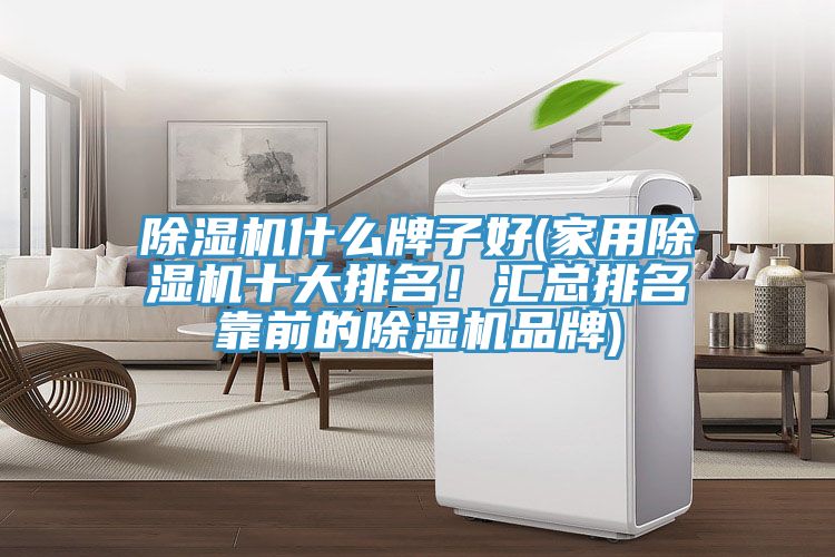除濕機什么牌子好(家用除濕機十大排名！匯總排名靠前的除濕機品牌)