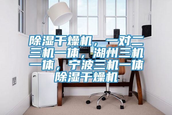 除濕干燥機(jī)，一對(duì)二三機(jī)一體，湖州三機(jī)一體，寧波三機(jī)一體除濕干燥機(jī)