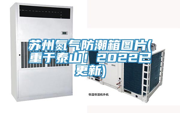 蘇州氮?dú)夥莱毕鋱D片(重于泰山！2022已更新)
