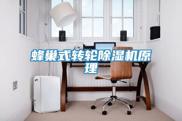 蜂巢式轉(zhuǎn)輪除濕機原理