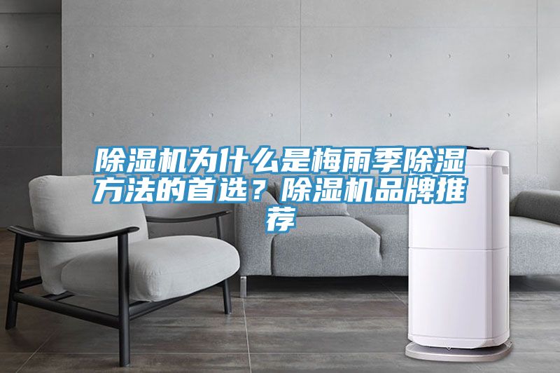 除濕機(jī)為什么是梅雨季除濕方法的首選？除濕機(jī)品牌推薦
