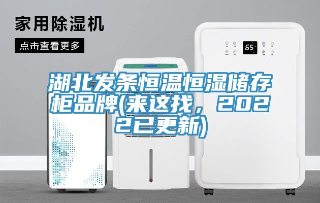 湖北發(fā)條恒溫恒濕儲(chǔ)存柜品牌(來(lái)這找，2022已更新)