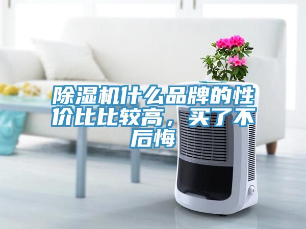 除濕機什么品牌的性價比比較高，買了不后悔