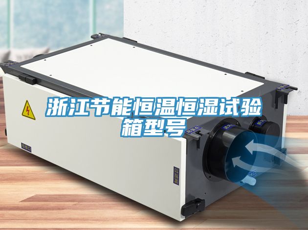 浙江節(jié)能恒溫恒濕試驗(yàn)箱型號(hào)