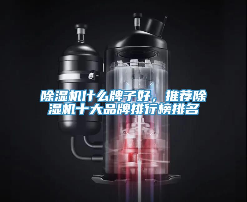 除濕機什么牌子好，推薦除濕機十大品牌排行榜排名