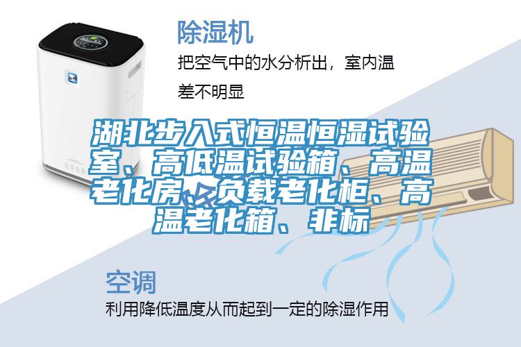湖北步入式恒溫恒濕試驗(yàn)室、高低溫試驗(yàn)箱、高溫老化房、負(fù)載老化柜、高溫老化箱、非標(biāo)
