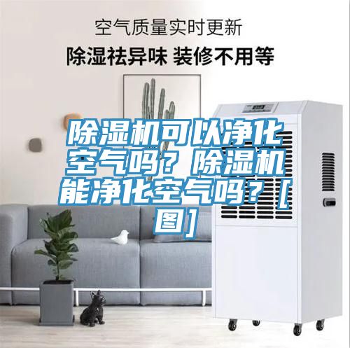 除濕機可以凈化空氣嗎？除濕機能凈化空氣嗎？[圖]