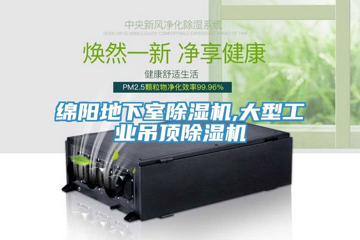 綿陽地下室除濕機,大型工業(yè)吊頂除濕機