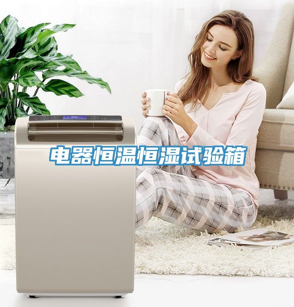 電器恒溫恒濕試驗(yàn)箱