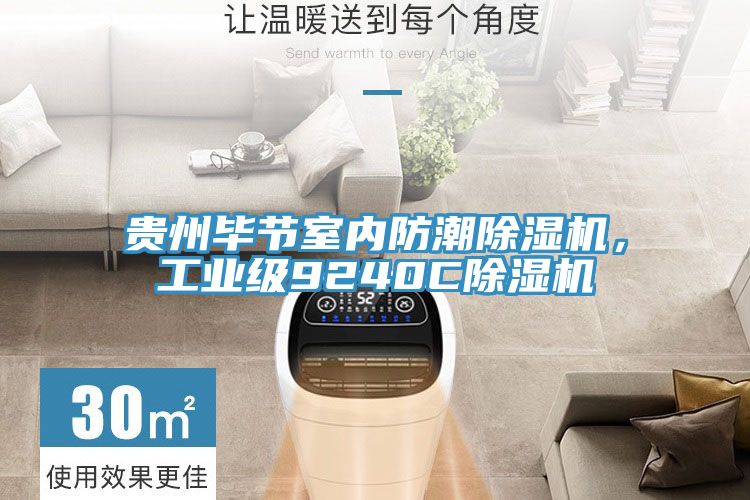 貴州畢節(jié)室內(nèi)防潮除濕機(jī)，工業(yè)級9240C除濕機(jī)