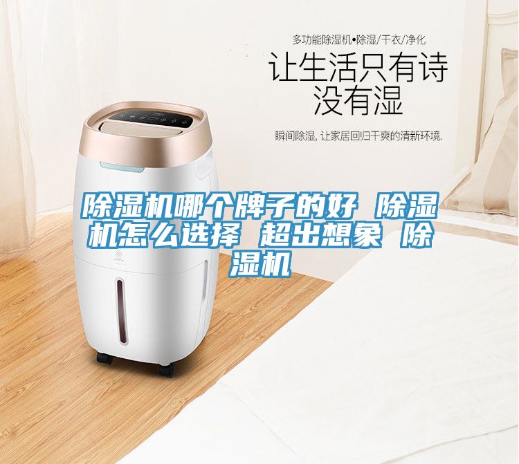 除濕機(jī)哪個牌子的好 除濕機(jī)怎么選擇 超出想象 除濕機(jī)