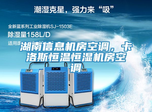 湖南信息機房空調(diào)，卡洛斯恒溫恒濕機房空調(diào)