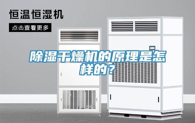 除濕干燥機(jī)的原理是怎樣的？