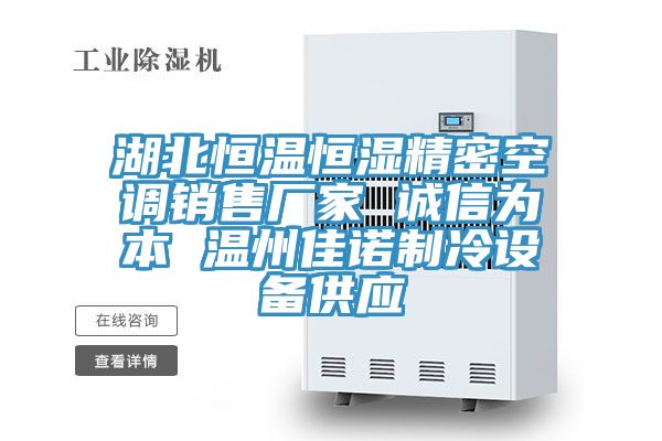 湖北恒溫恒濕精密空調(diào)銷(xiāo)售廠(chǎng)家 誠(chéng)信為本 溫州佳諾制冷設(shè)備供應(yīng)