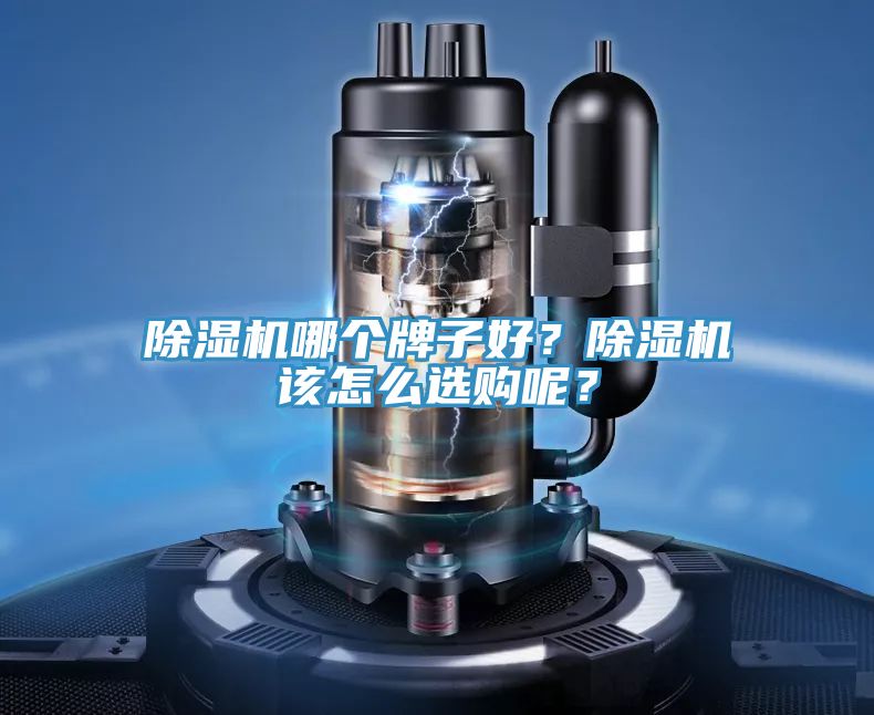 除濕機哪個牌子好？除濕機該怎么選購呢？