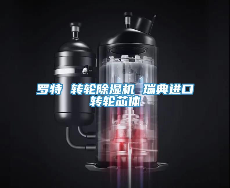 羅特 轉(zhuǎn)輪除濕機 瑞典進(jìn)口轉(zhuǎn)輪芯體