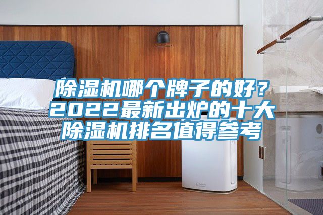 除濕機(jī)哪個牌子的好？2022最新出爐的十大除濕機(jī)排名值得參考