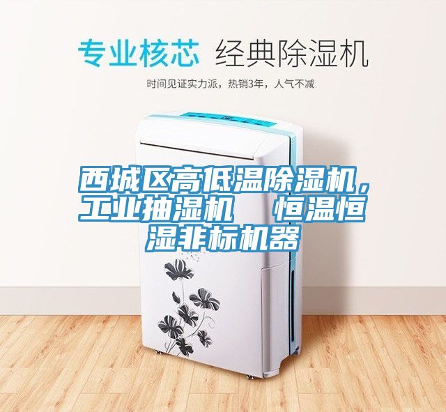 西城區(qū)高低溫除濕機(jī)，工業(yè)抽濕機(jī)  恒溫恒濕非標(biāo)機(jī)器