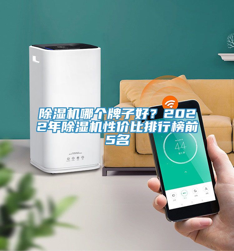 除濕機(jī)哪個(gè)牌子好？2022年除濕機(jī)性價(jià)比排行榜前5名