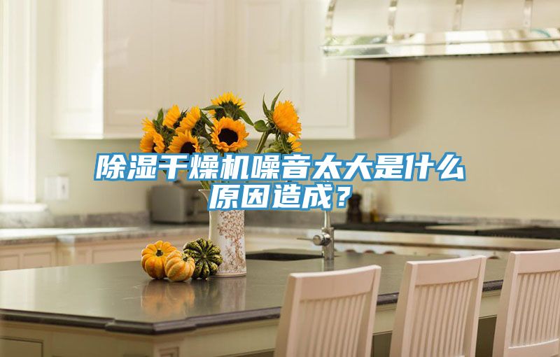 除濕干燥機(jī)噪音太大是什么原因造成？