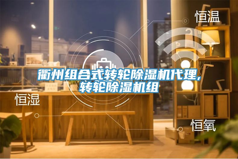 衢州組合式轉(zhuǎn)輪除濕機(jī)代理,轉(zhuǎn)輪除濕機(jī)組