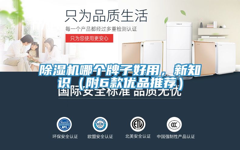 除濕機(jī)哪個(gè)牌子好用，新知識（附6款優(yōu)品推薦）